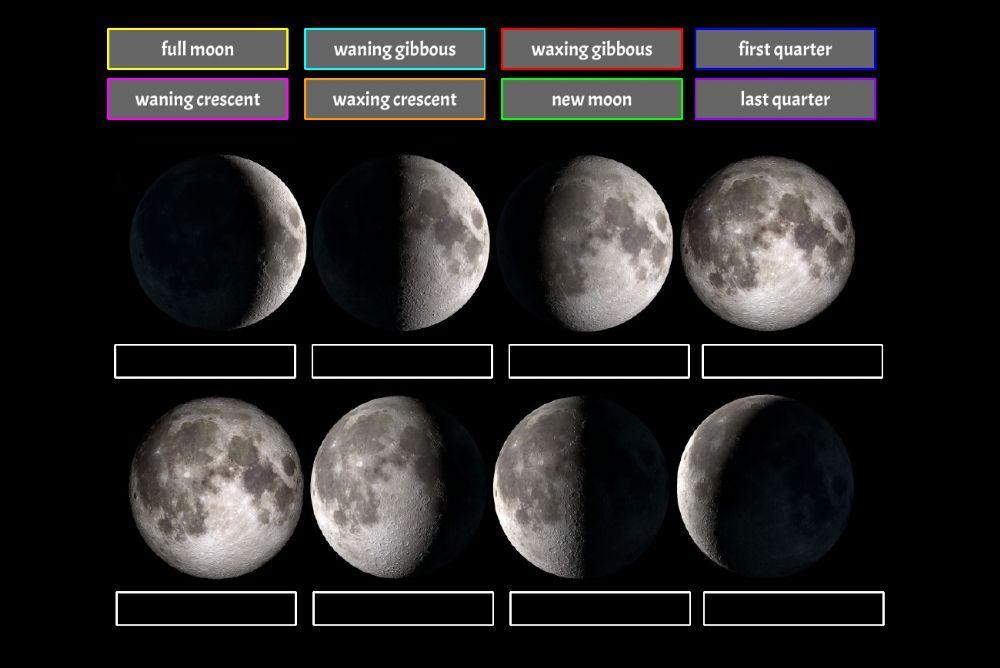 Phases of the moon