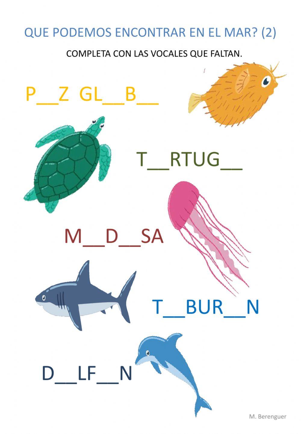 ¿Que podemos encontrar en el mar (2)?