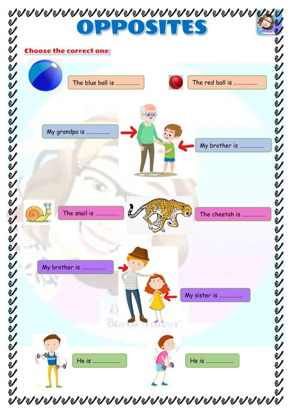 Grade 3-Unit 3-Opposites