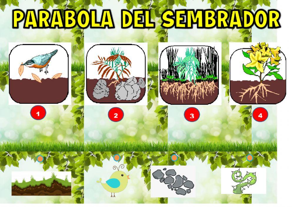 Parabola del sembrador