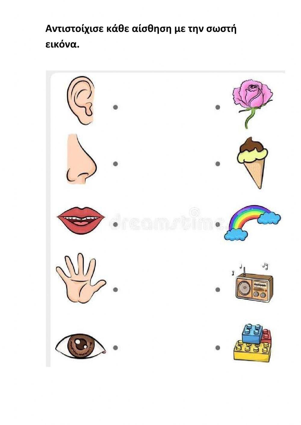 Οι 5 αισθήσεις