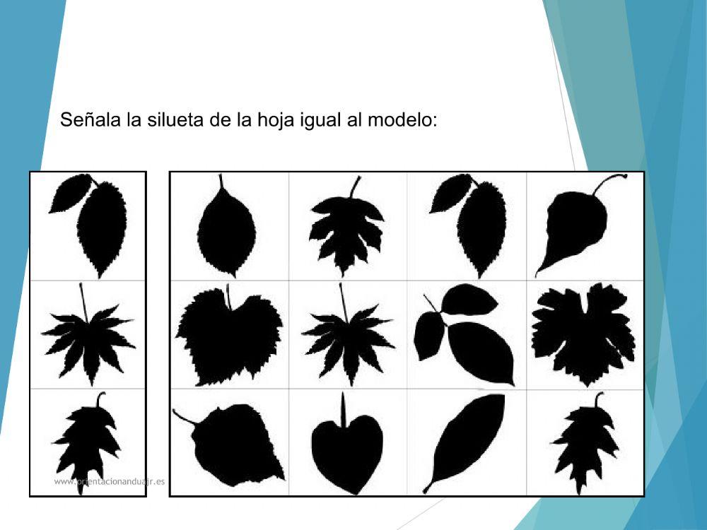 Cuadernillo  cognitivo  parte 1