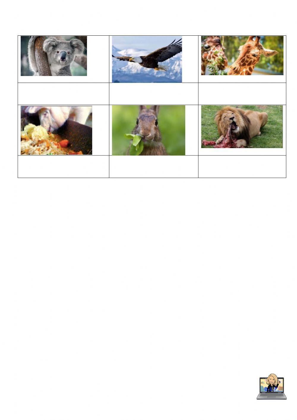 NATURAIS 1º Alimentación dos animais