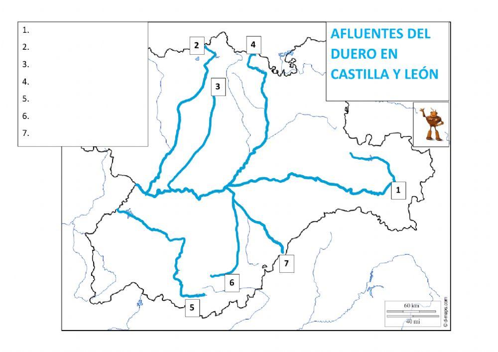 Afluentes del duero en castilla y león