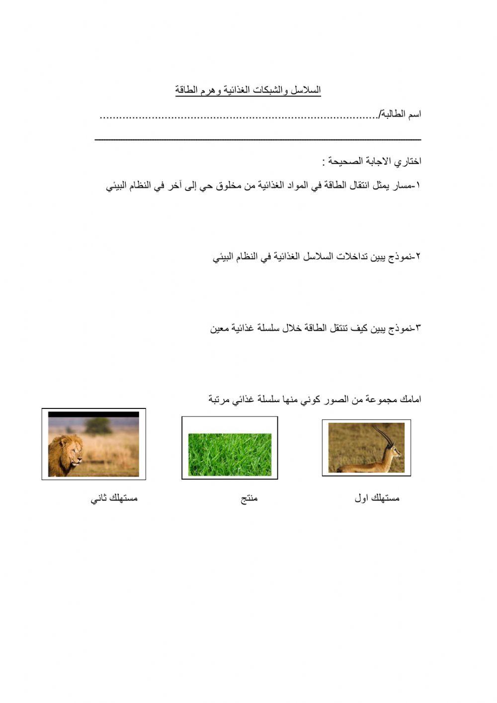 السلاسل والشبكات الغذائية وهرم الطاقة
