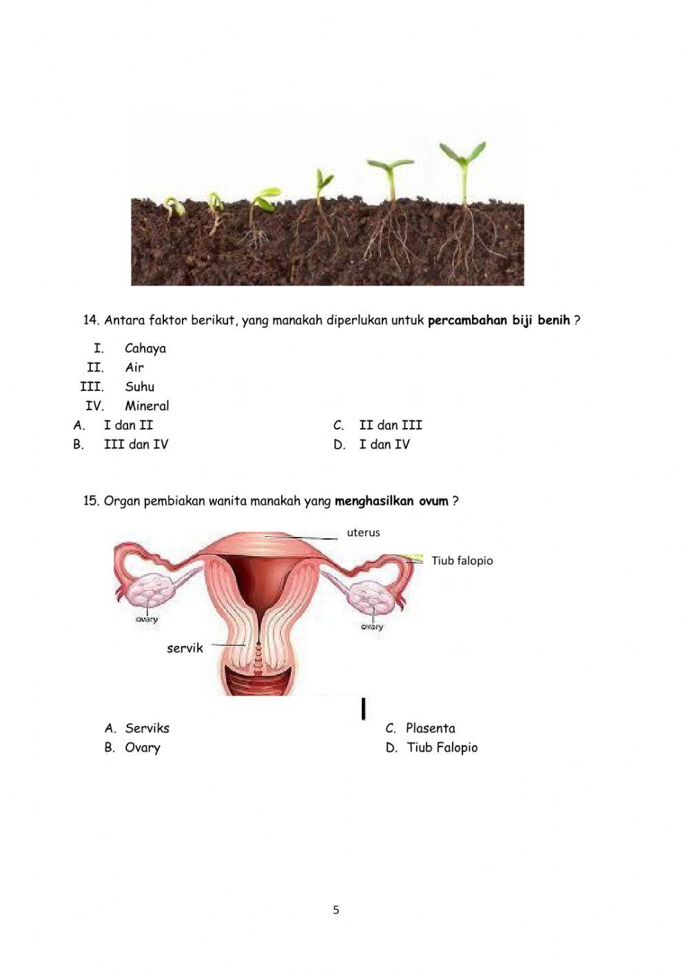 Ujian bahagian A Sains Tingkatan 1