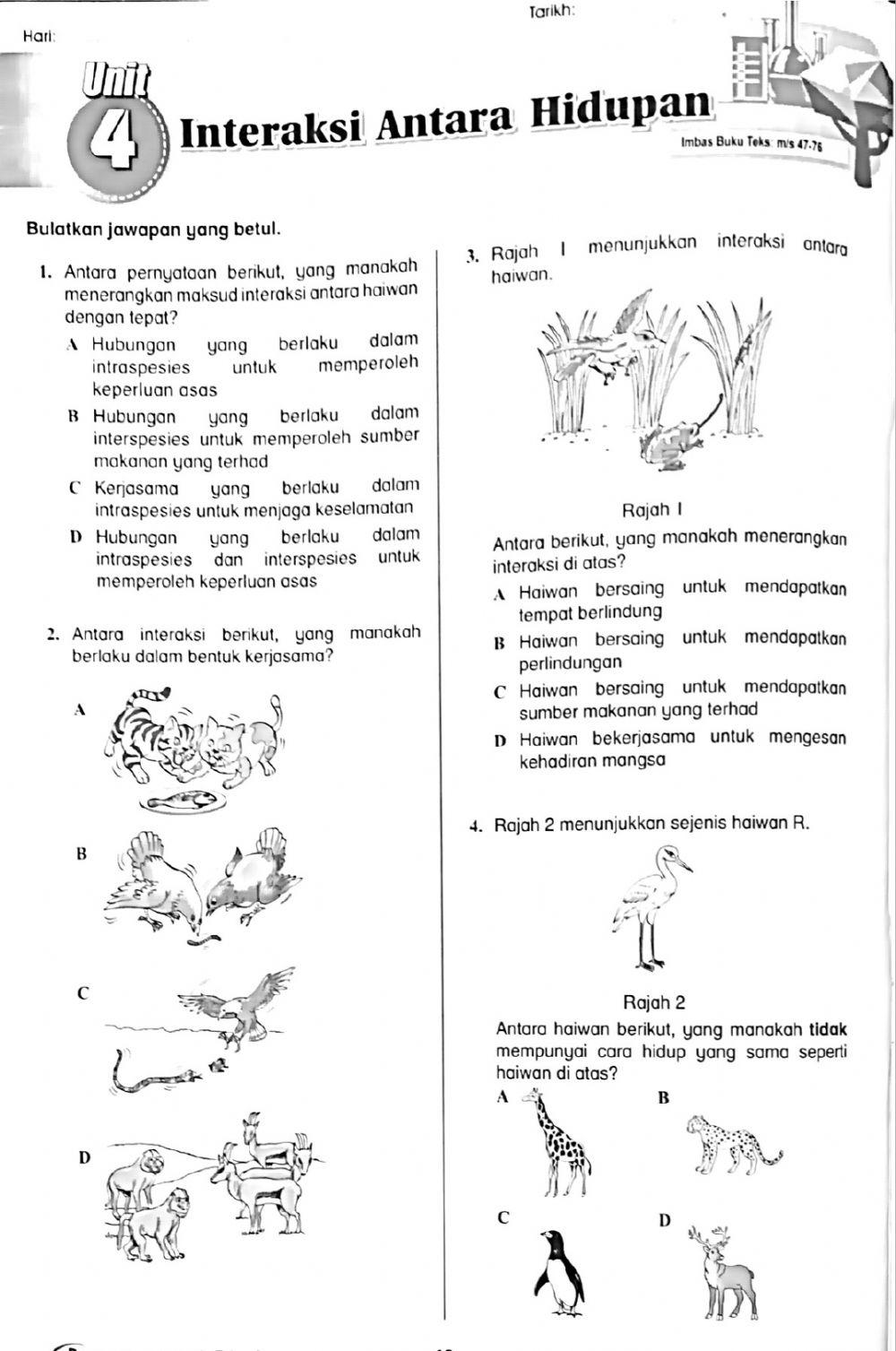 Interaksi Antara Hidupan Interaksi Antara Hidupan