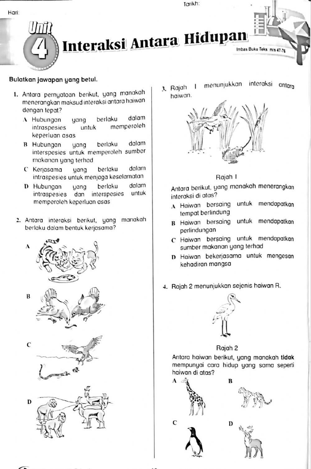 Interaksi Antara Hidupan