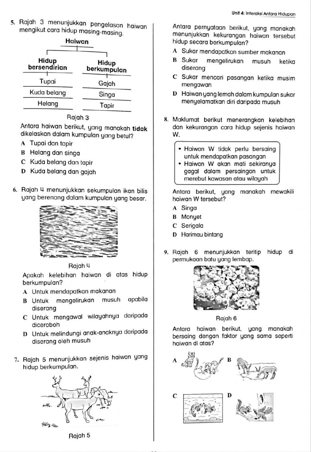 Interaksi Antara Hidupan