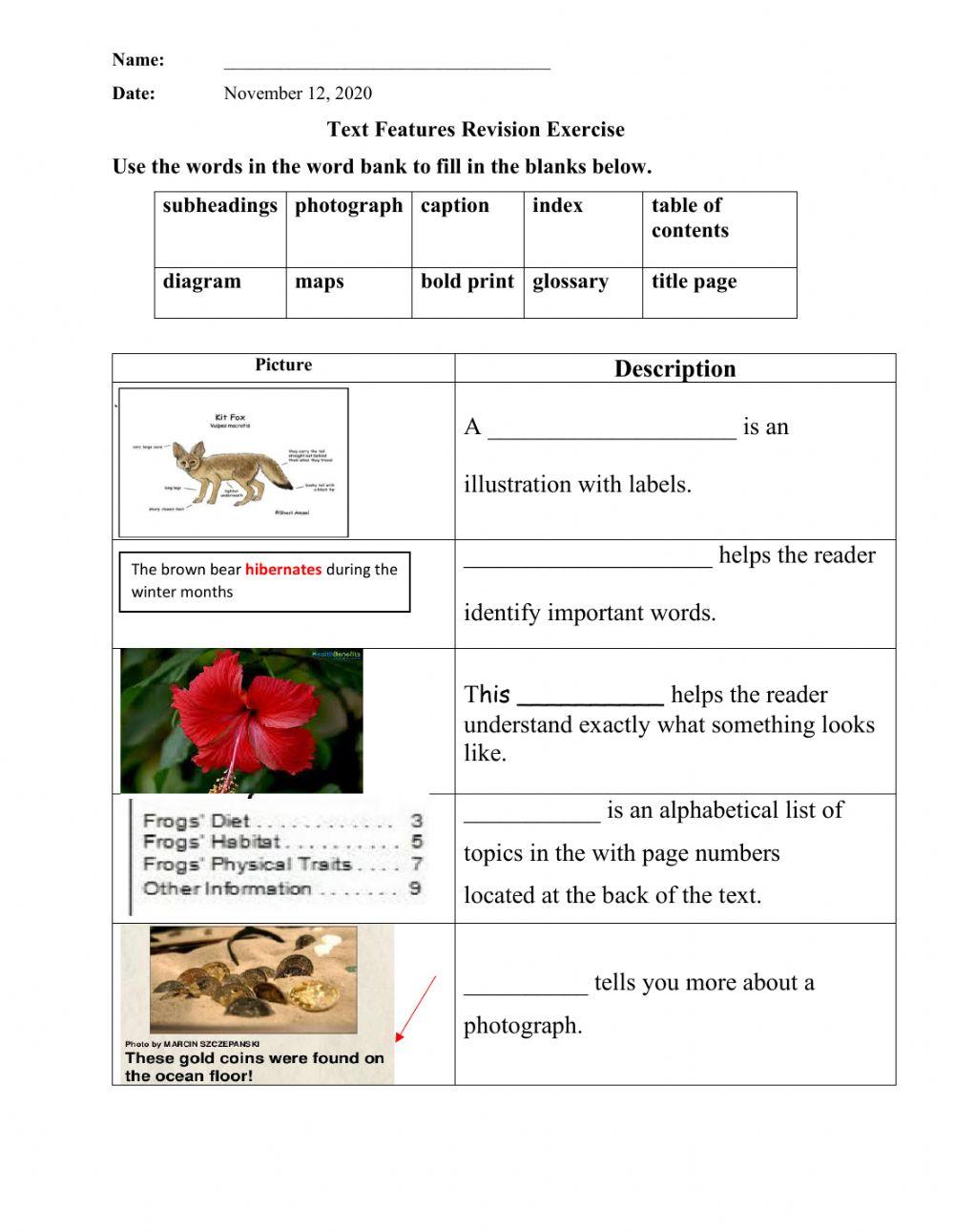 Text Features Worksheet