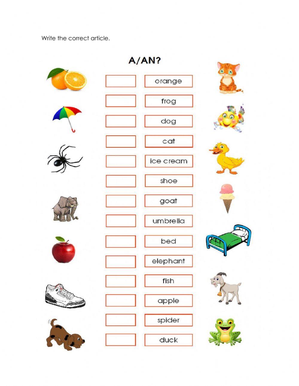Worksheet articles a - an 2