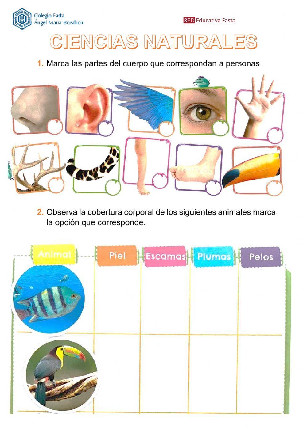 Repaso Cs. Naturales
