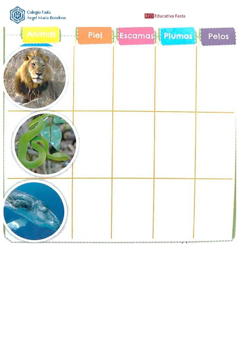 Repaso Cs. Naturales