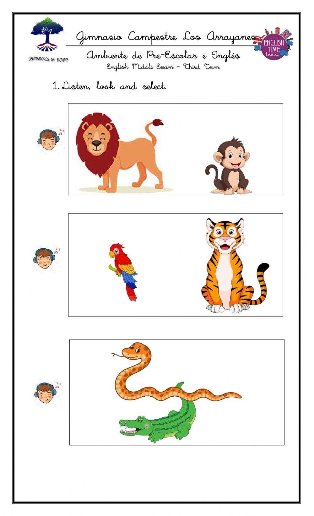 English - Third Term Final Exam  Kinder