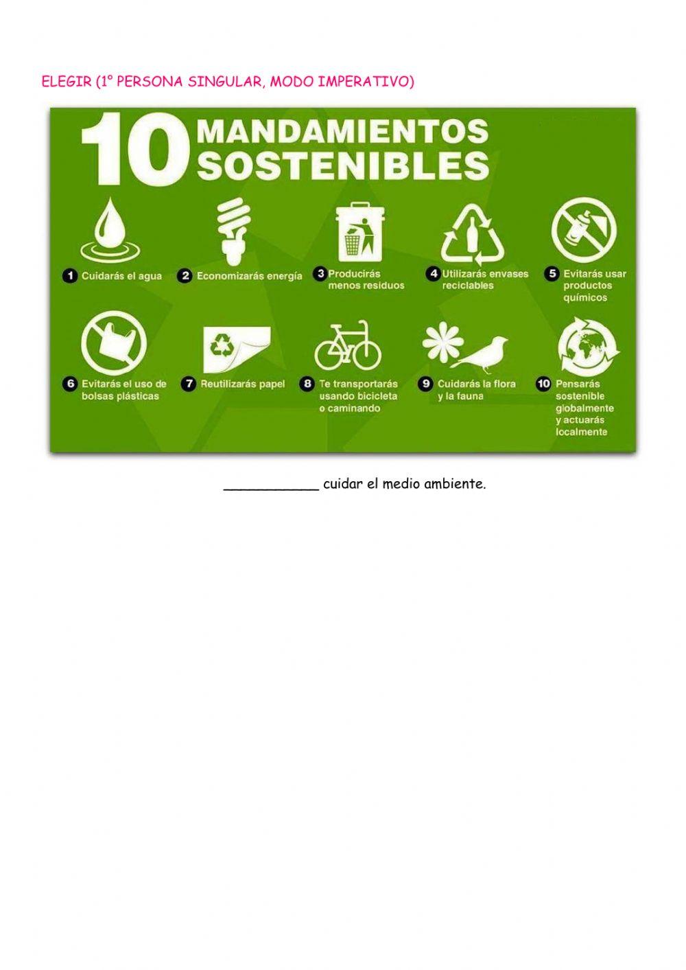 Clases de palabras: los verbos-Proyecto en Equipo-