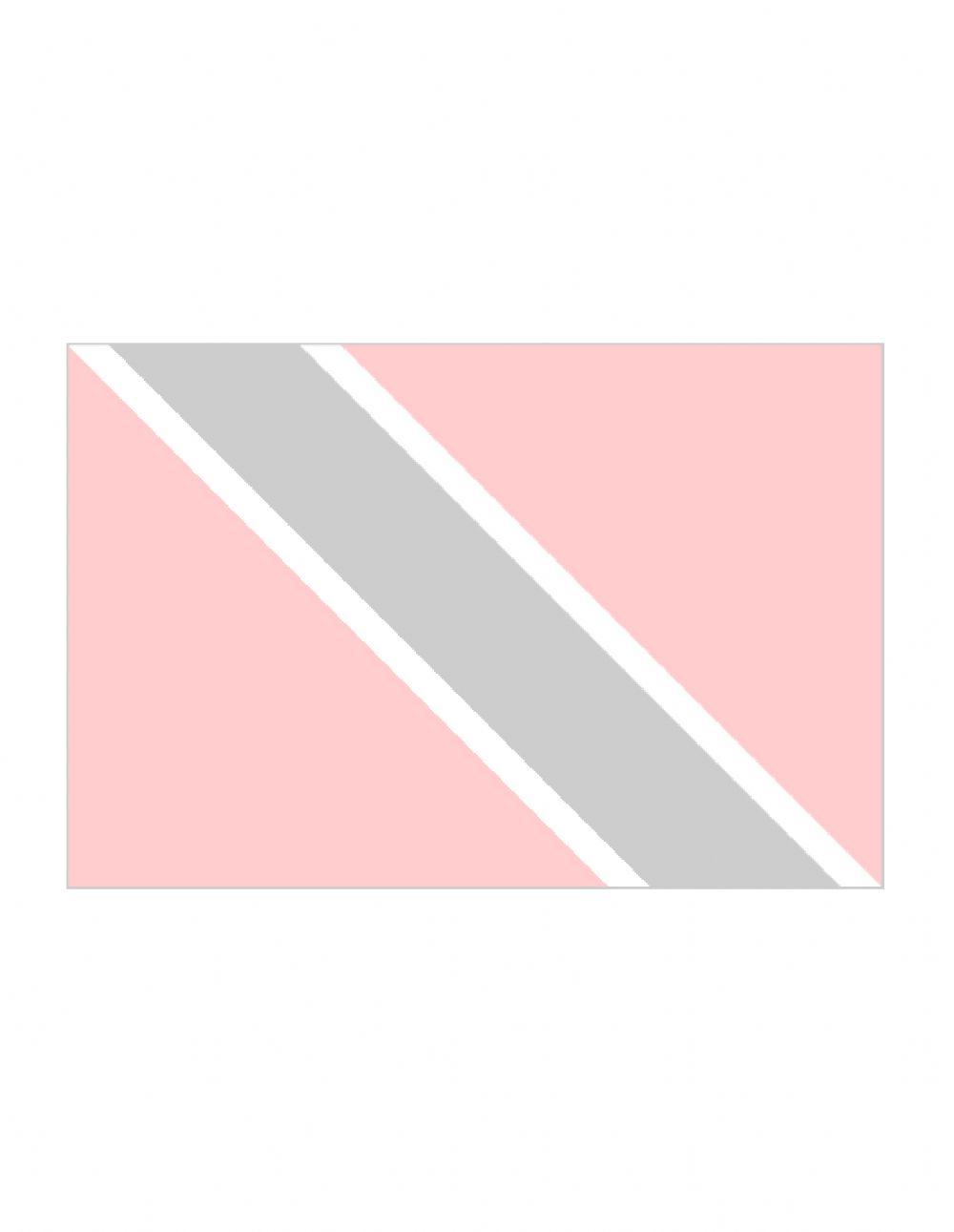 CENTRAL GOVERNMENT- LOCAL GOVERNMENT- THE TOBAGO HOUSE OF ASSEMBLY