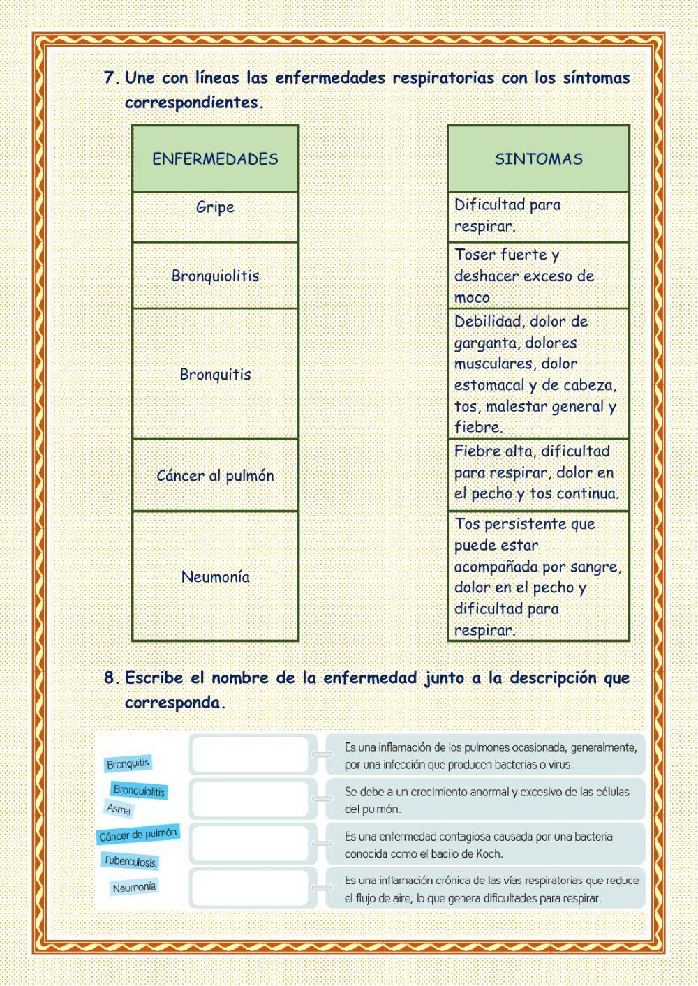 Sistema respiratorio y las enfermedades