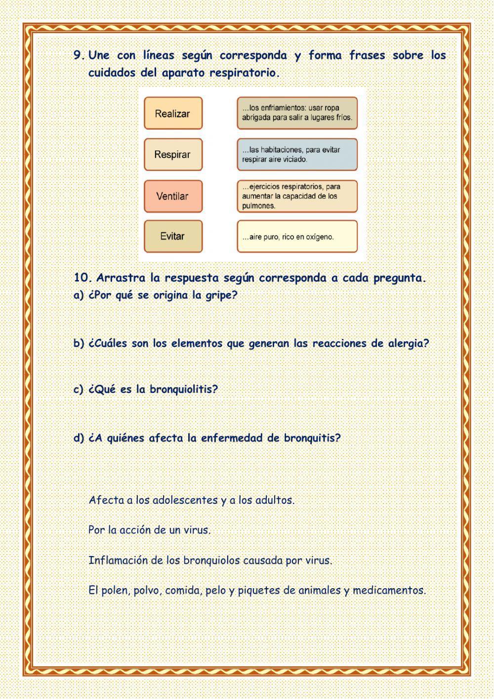 Sistema respiratorio y las enfermedades