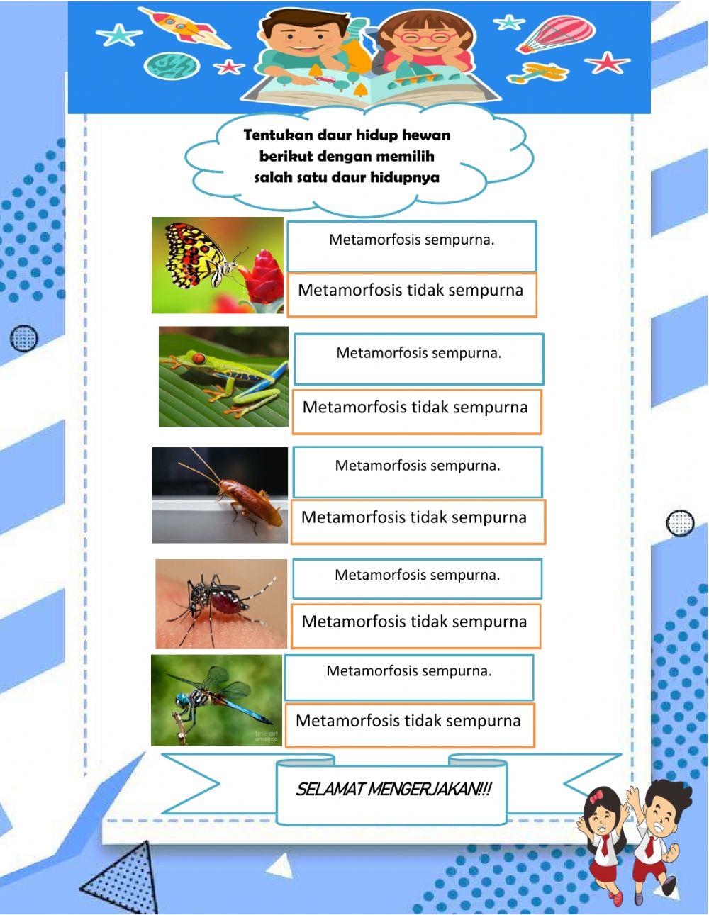 Daur hidup hewan sempurna dan tidak sempurna