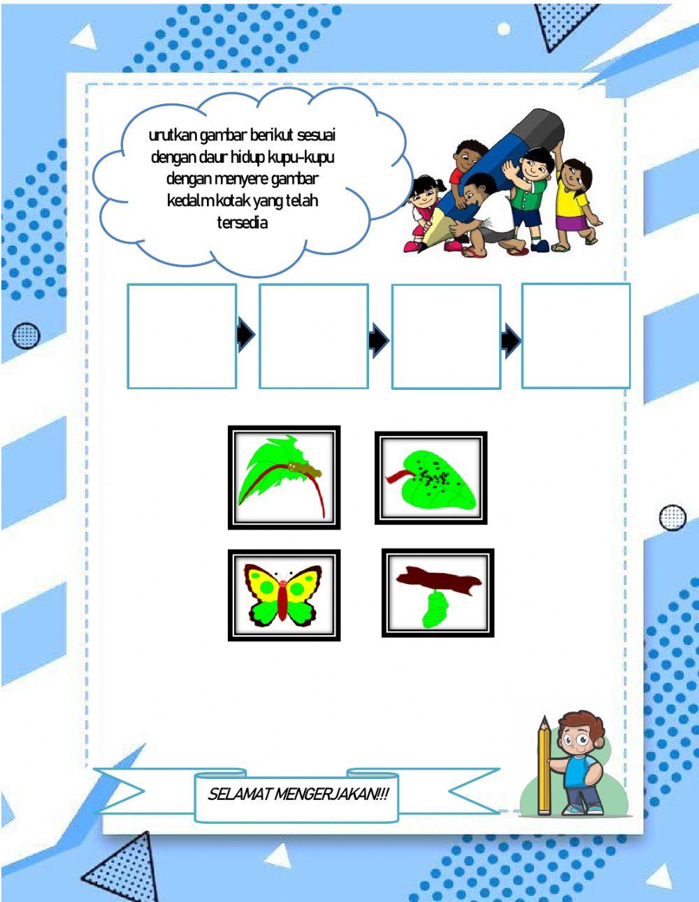 Daur hidup hewan sempurna dan tidak sempurna