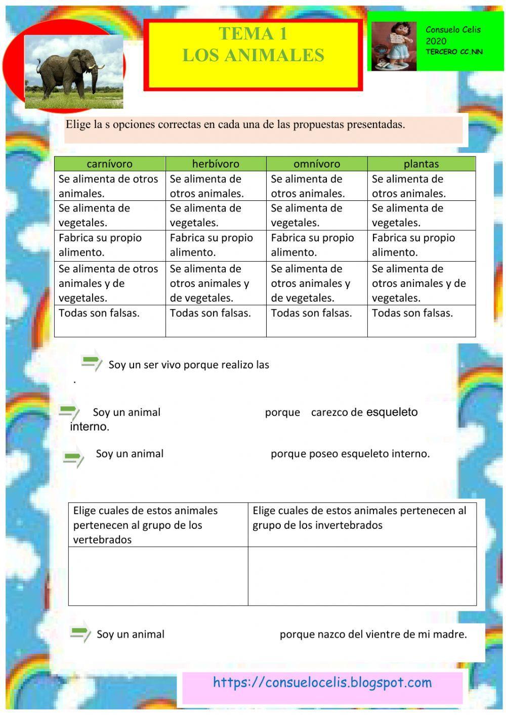 Los animales invertebrados