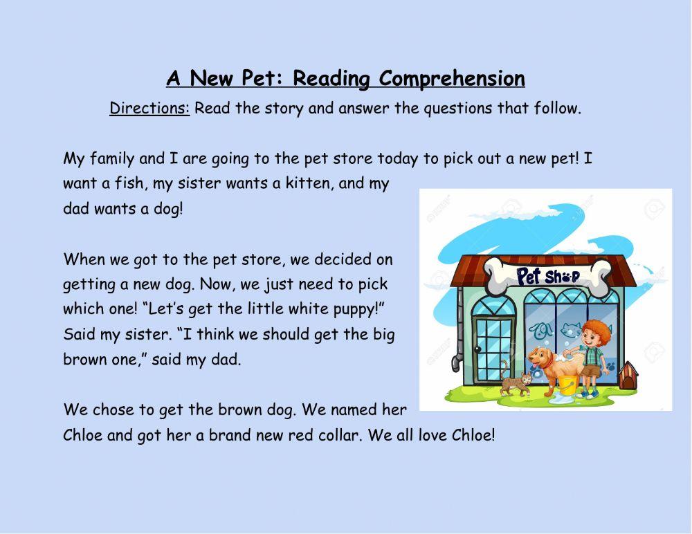 A New Pet Reading Comprehension