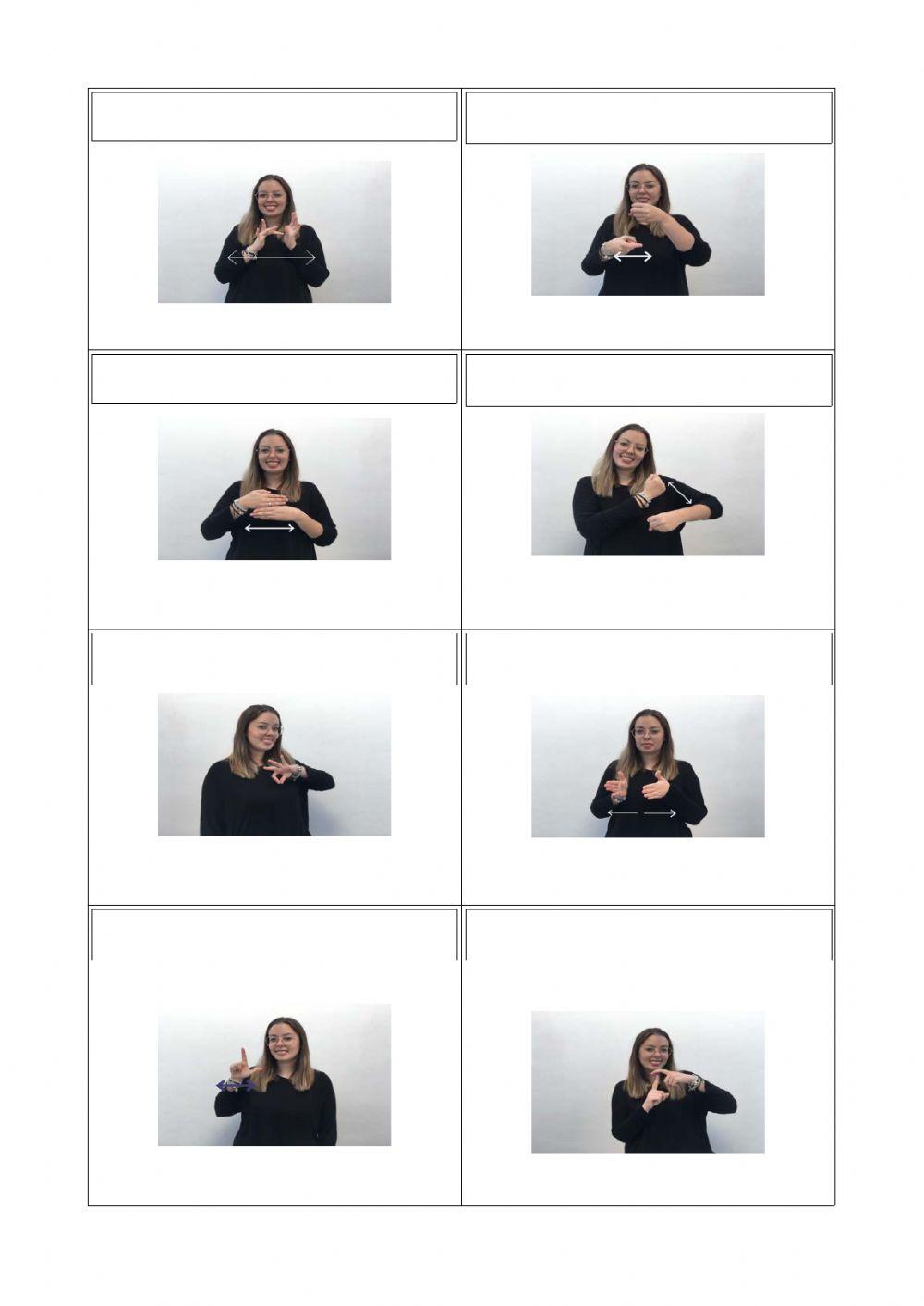 Mese del año y días de la semana