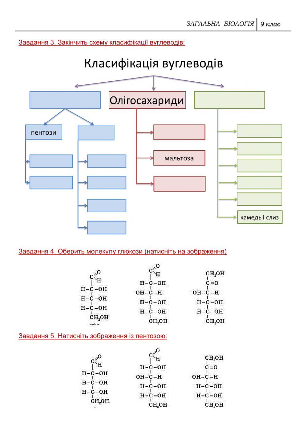 Біополімери. Вуглеводи