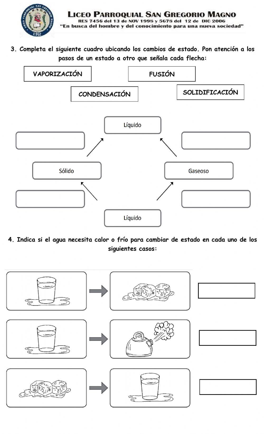 BIMESTRAL CIENCIAS NATURALES IV