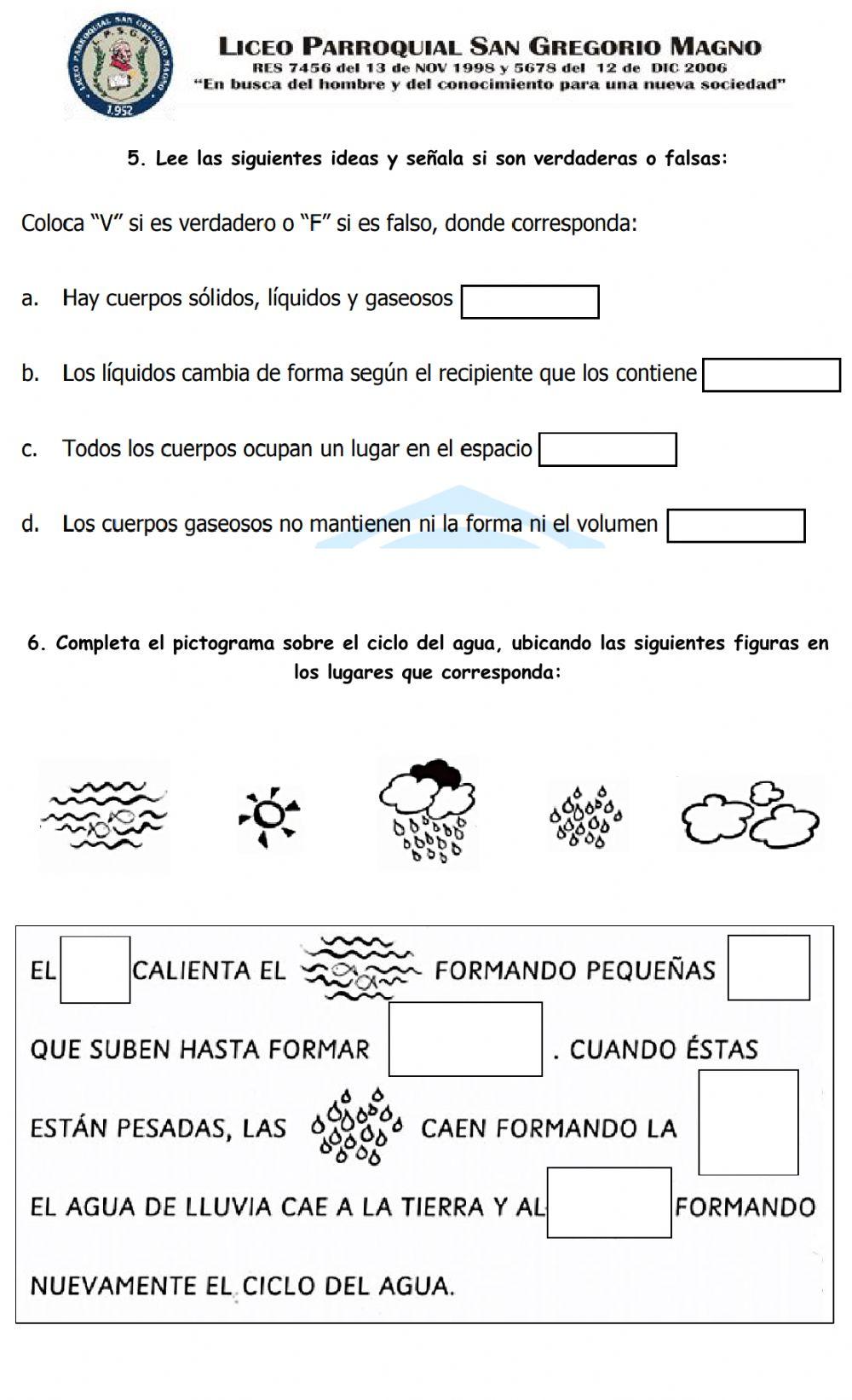 BIMESTRAL CIENCIAS NATURALES IV