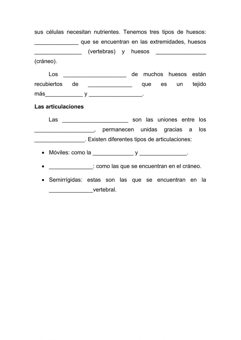 El aparato locomotor