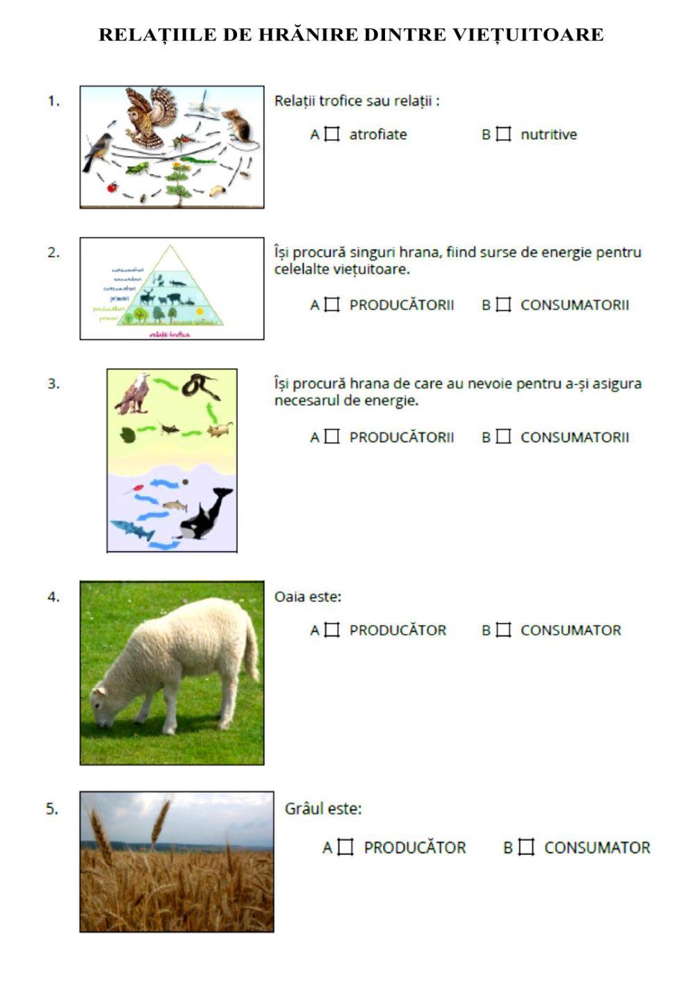 RELAȚIILE DE HRĂNIRE DINTRE VIEȚUITOARE