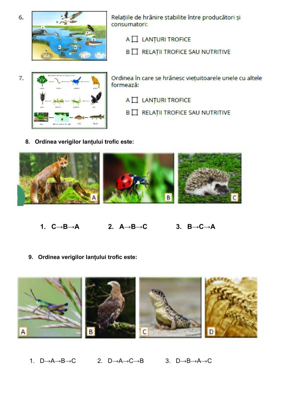 RELAȚIILE DE HRĂNIRE DINTRE VIEȚUITOARE