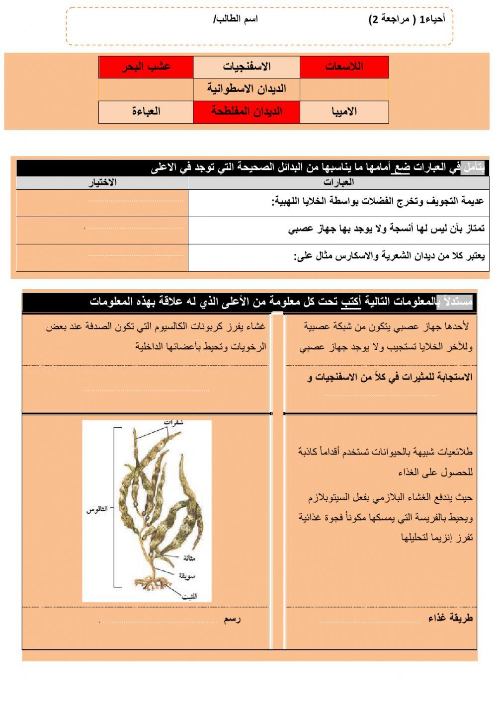 ورقة) مراجعة2(تفاعلية1