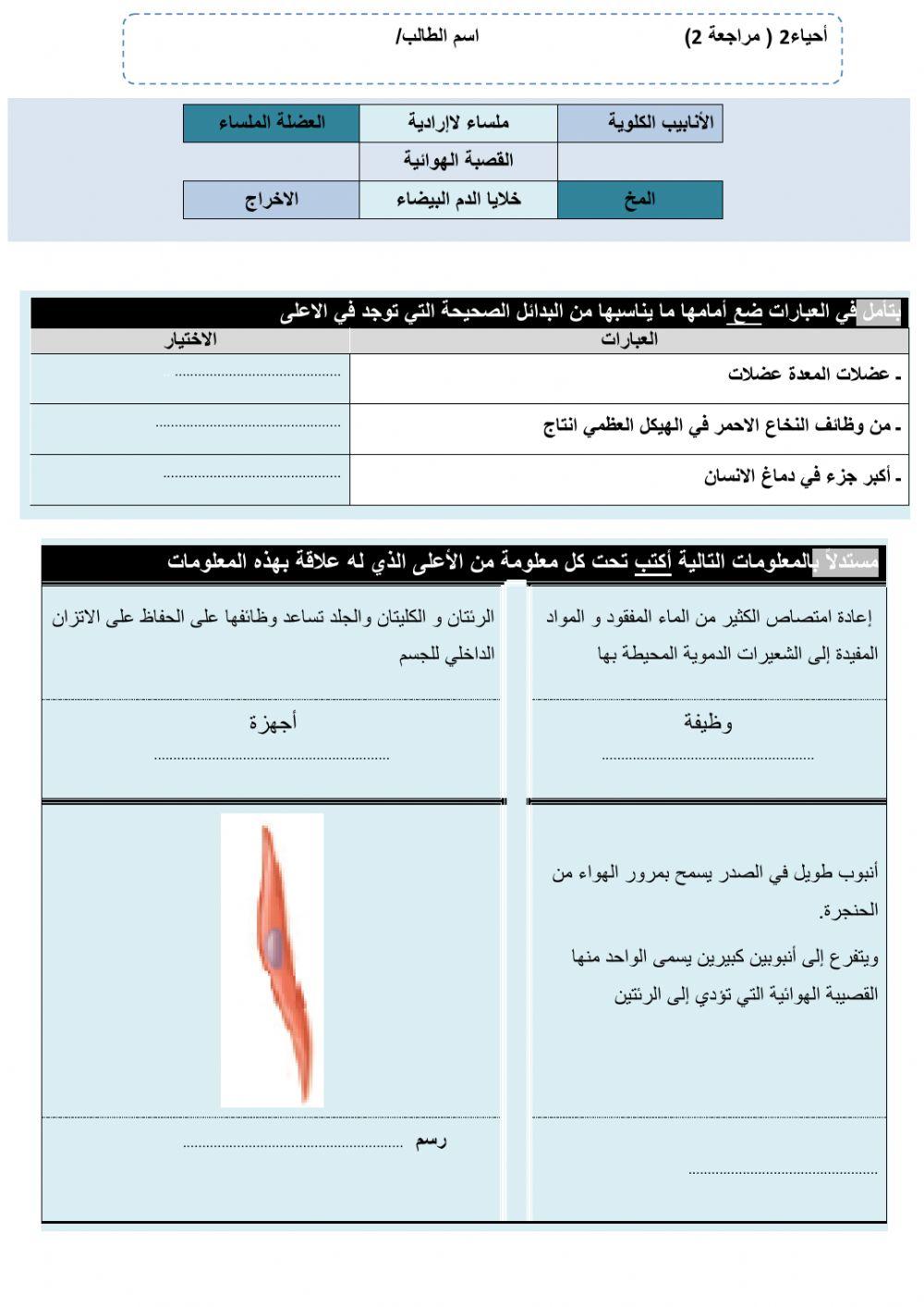 ورقة (  مراجعة2)تفاعلية2