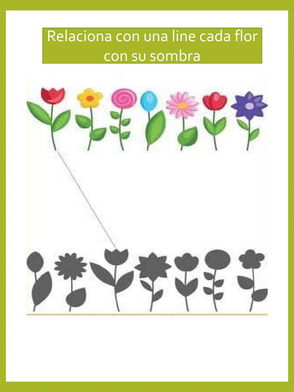 Secuencias y números