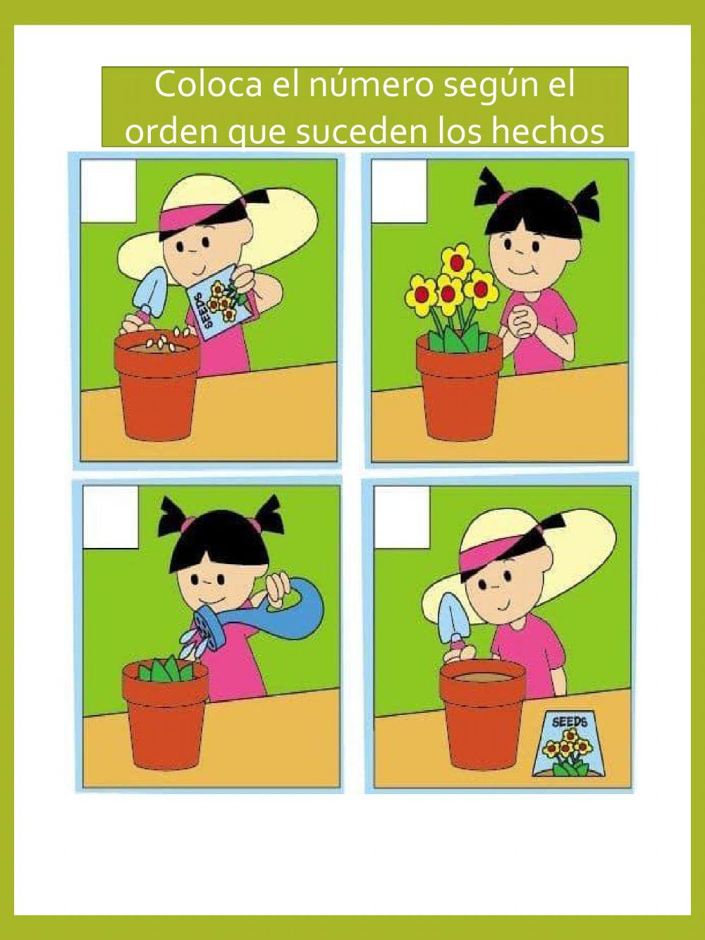 Secuencias y números