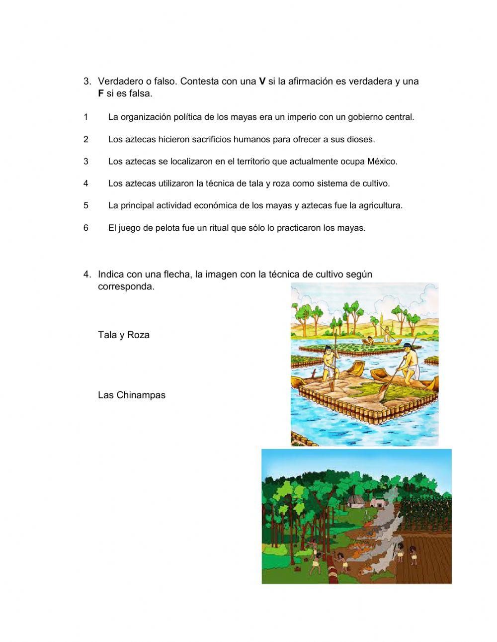 ¿Qué aprendí de los Mayas y los Aztecas?