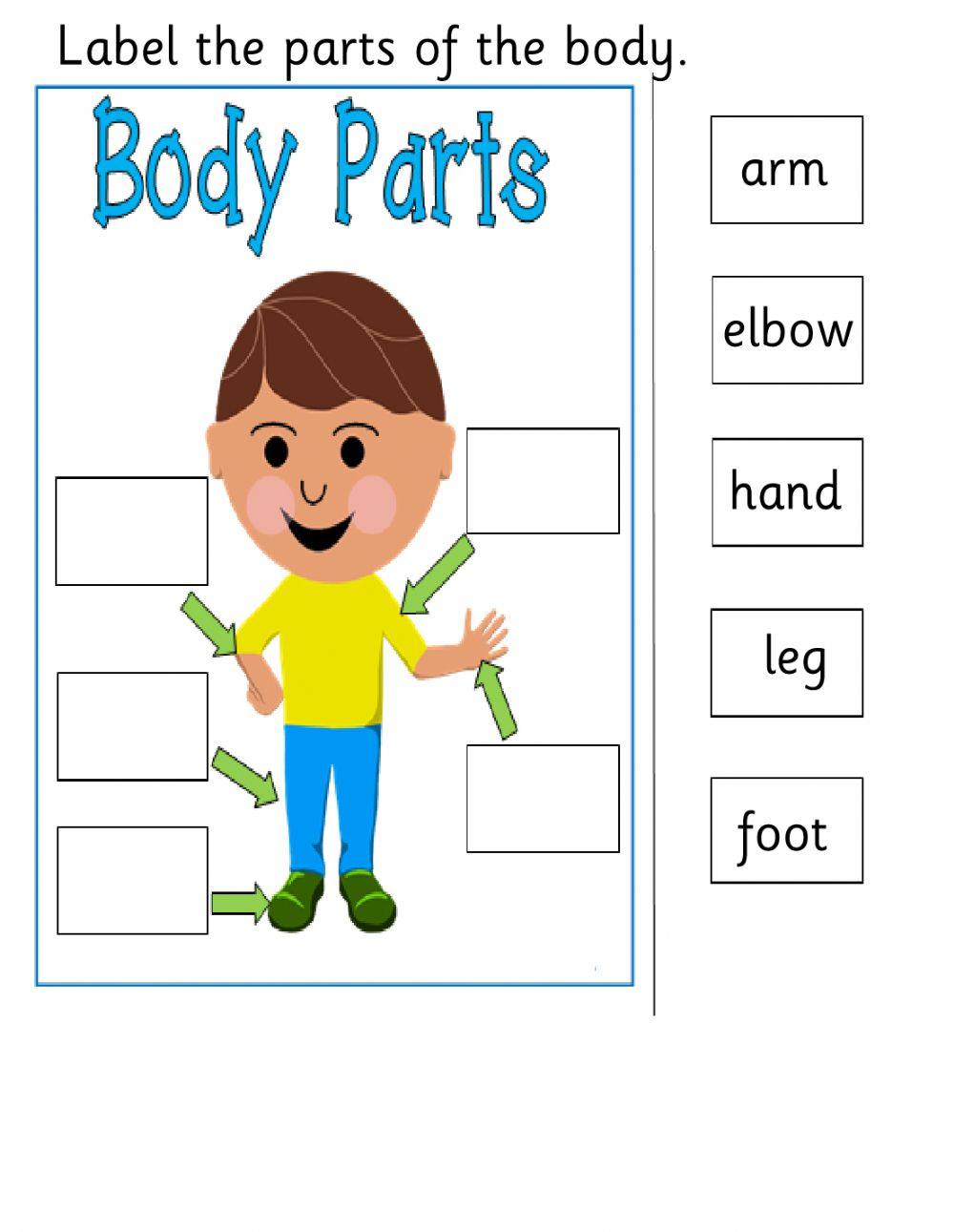 General Science Evaluation