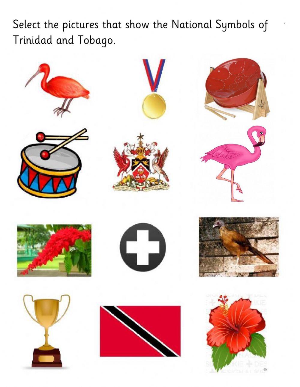 Social Studies Evaluation