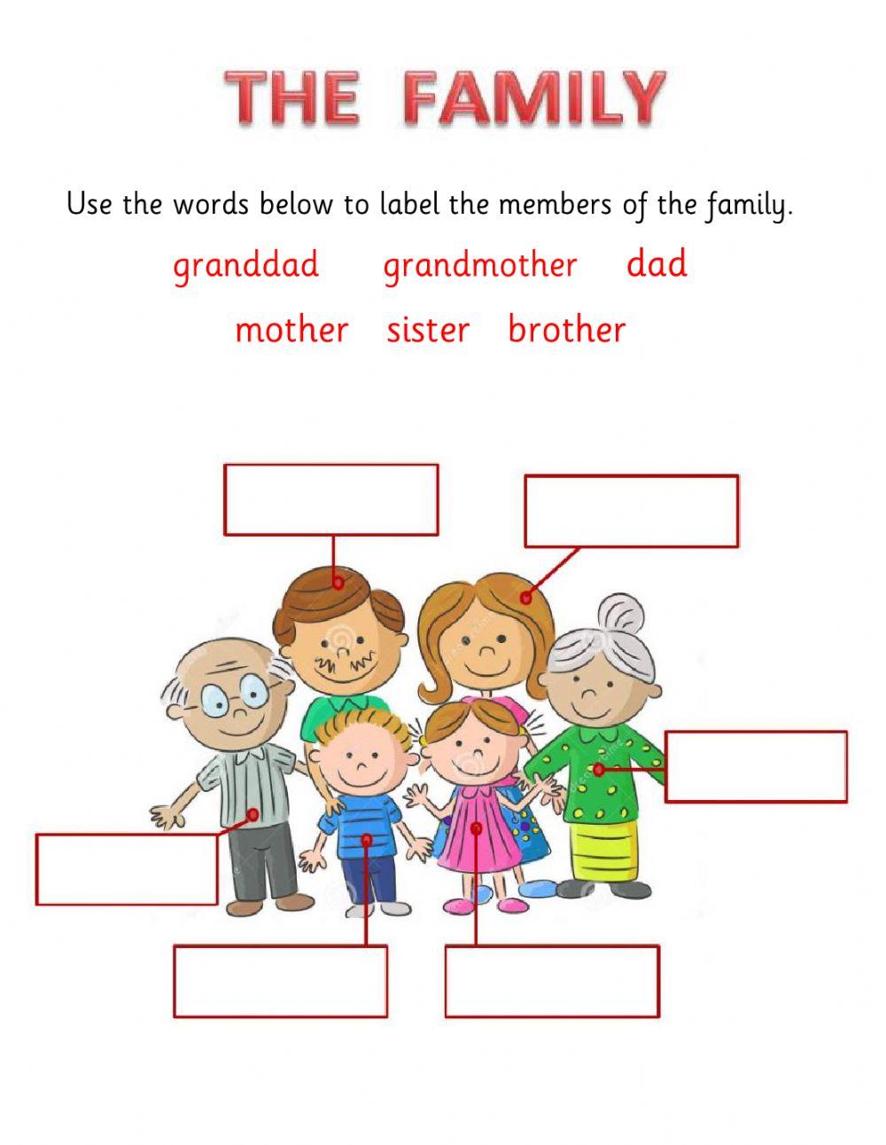 Social Studies Evaluation