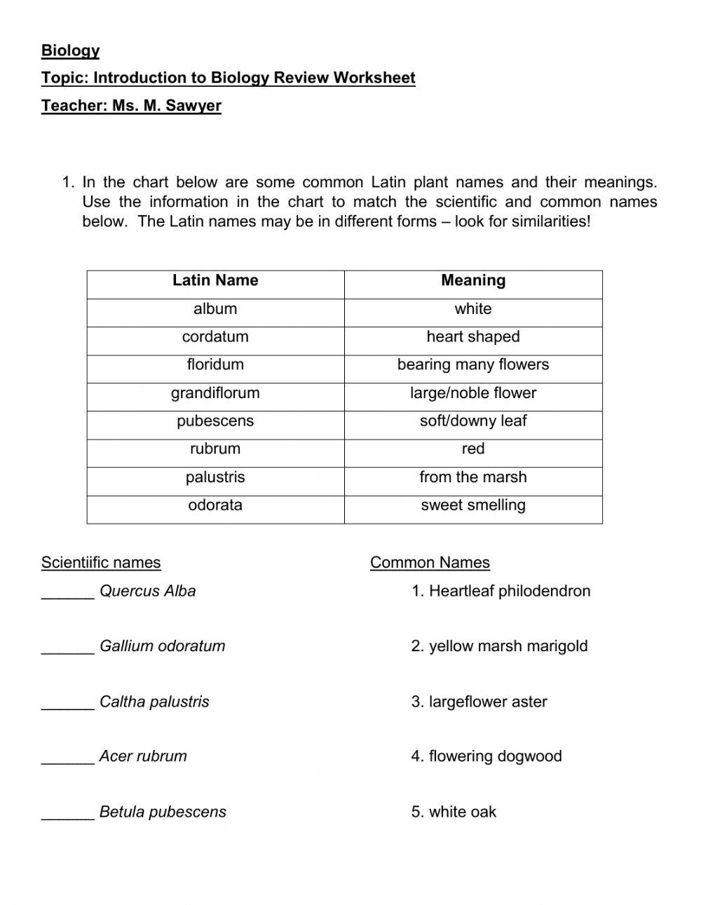 Binomial System Worksheet 2