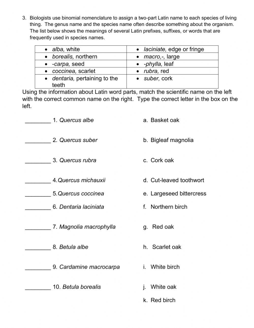 Binomial System Worksheet 2