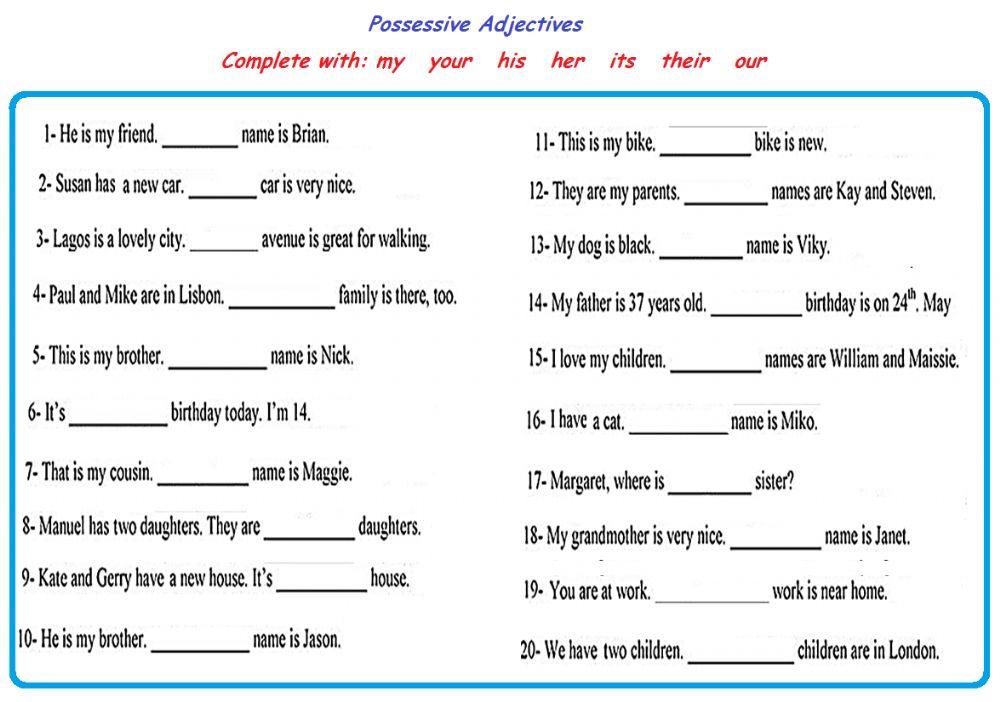 Possessive adjectives