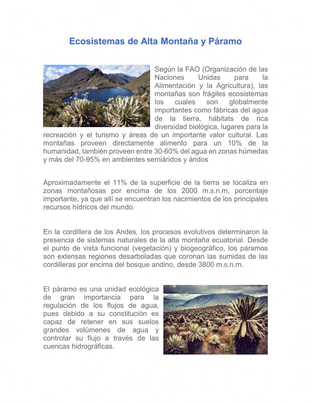 Actividad Ecosistemas