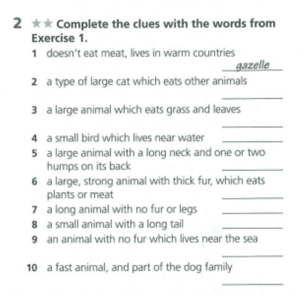 Animals. Vocabulary.