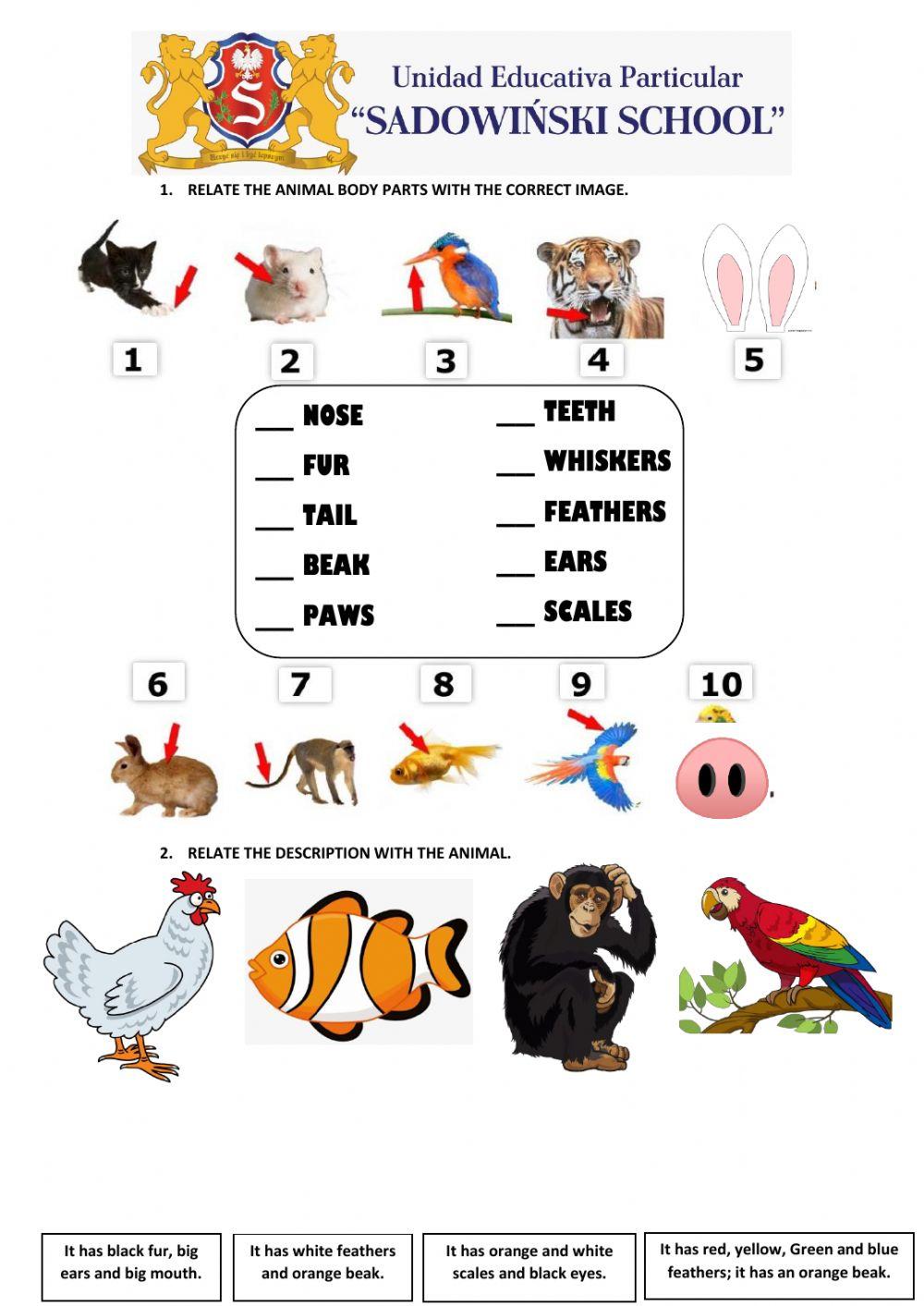 Quiz animals parts