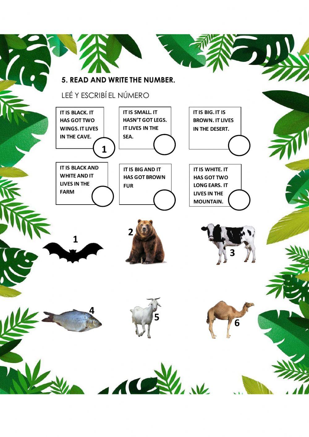 Animal Habitats
