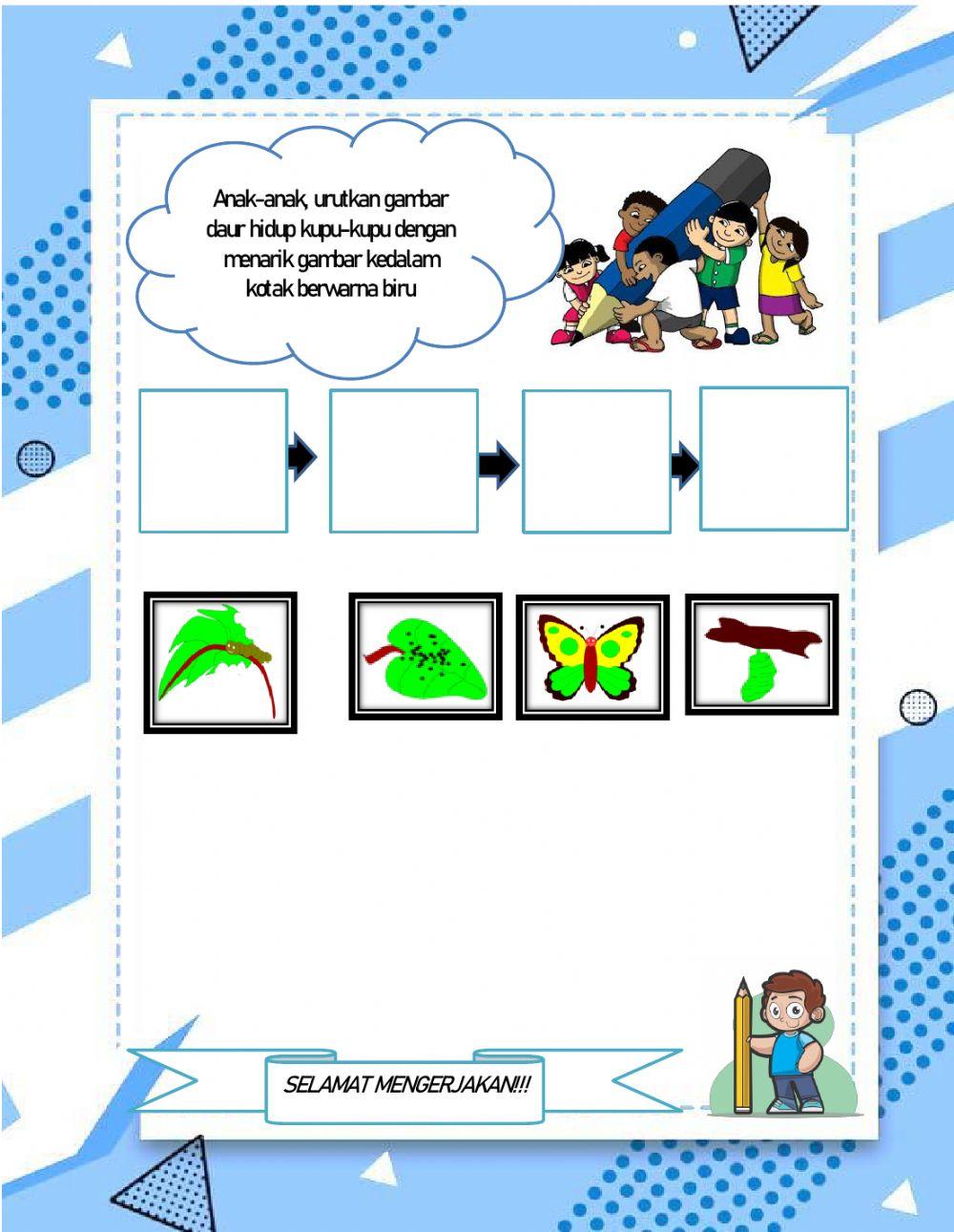 Daur hidup hewan sempurna dan tidak sempurna