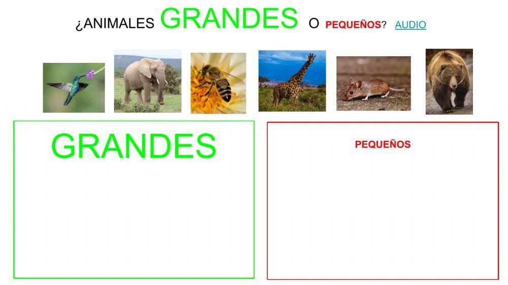 ¿Animales grandes o pequeños?